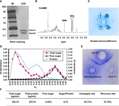 A novel vaccine formulation candidate based on lipooligosaccharides and pertussis toxin against Bordetella pertussis